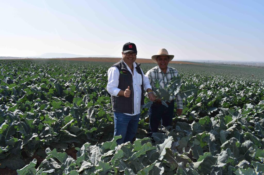 WhatsApp-Image-2024-12-03-at-5.30.44-PM-1024x682 Cómo la agricultura regenerativa mejora la calidad del suelo y los alimentos