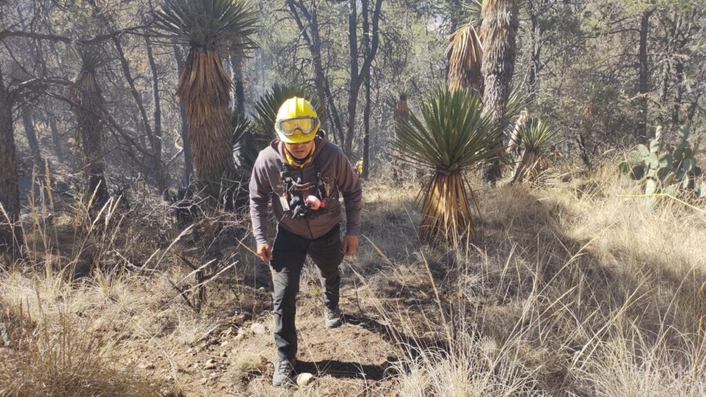 a388f3df-9620-4929-ac5a-e88df760fb65-1024x576 Incendio Forestal en El Tunal: Operativo Masivo en Arteaga para Controlar 71 Hectáreas